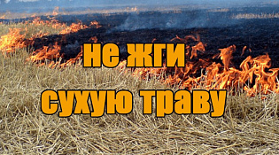 Останови огонь – не сжигай сухую траву